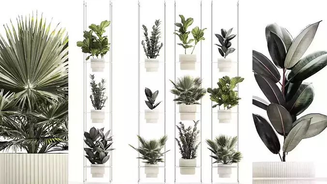 Shelf Hanging Pot Zamioculcas Ficus Fan Palm 1429 3D model