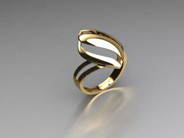 ring jewelry 3D print model_0