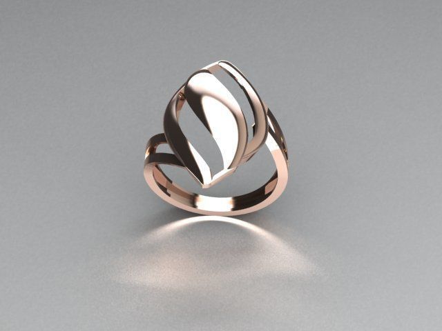 ring jewelry 3D print model_2