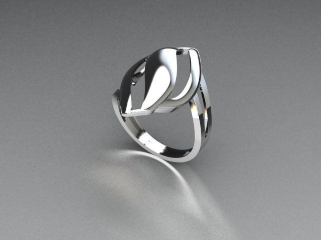 ring jewelry 3D print model_1
