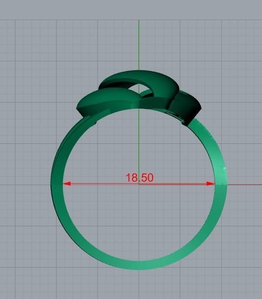 ring jewelry 3D print model_7