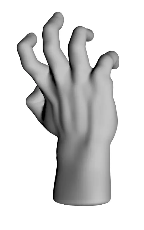 Hands with high to low poly with riggs Low-poly 3D model_0