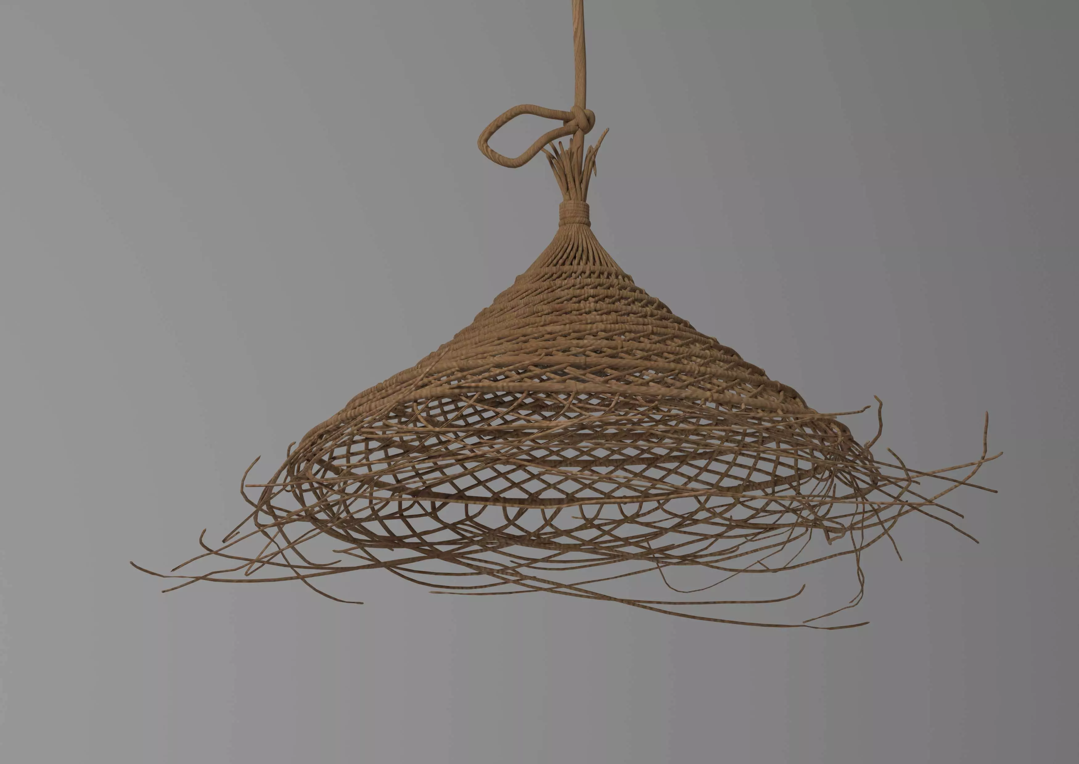 Pendant Light 3D model_0