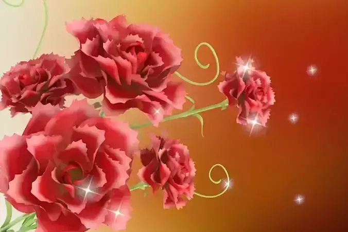 Carnations flower plant   advertising background