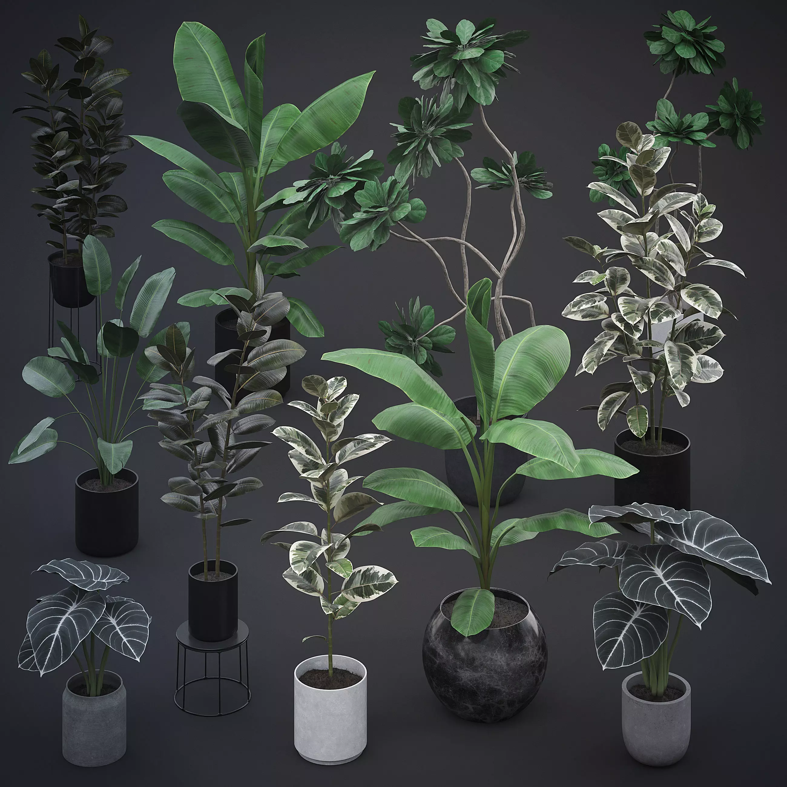 Interior Plants Pack 3D Model Collection_0