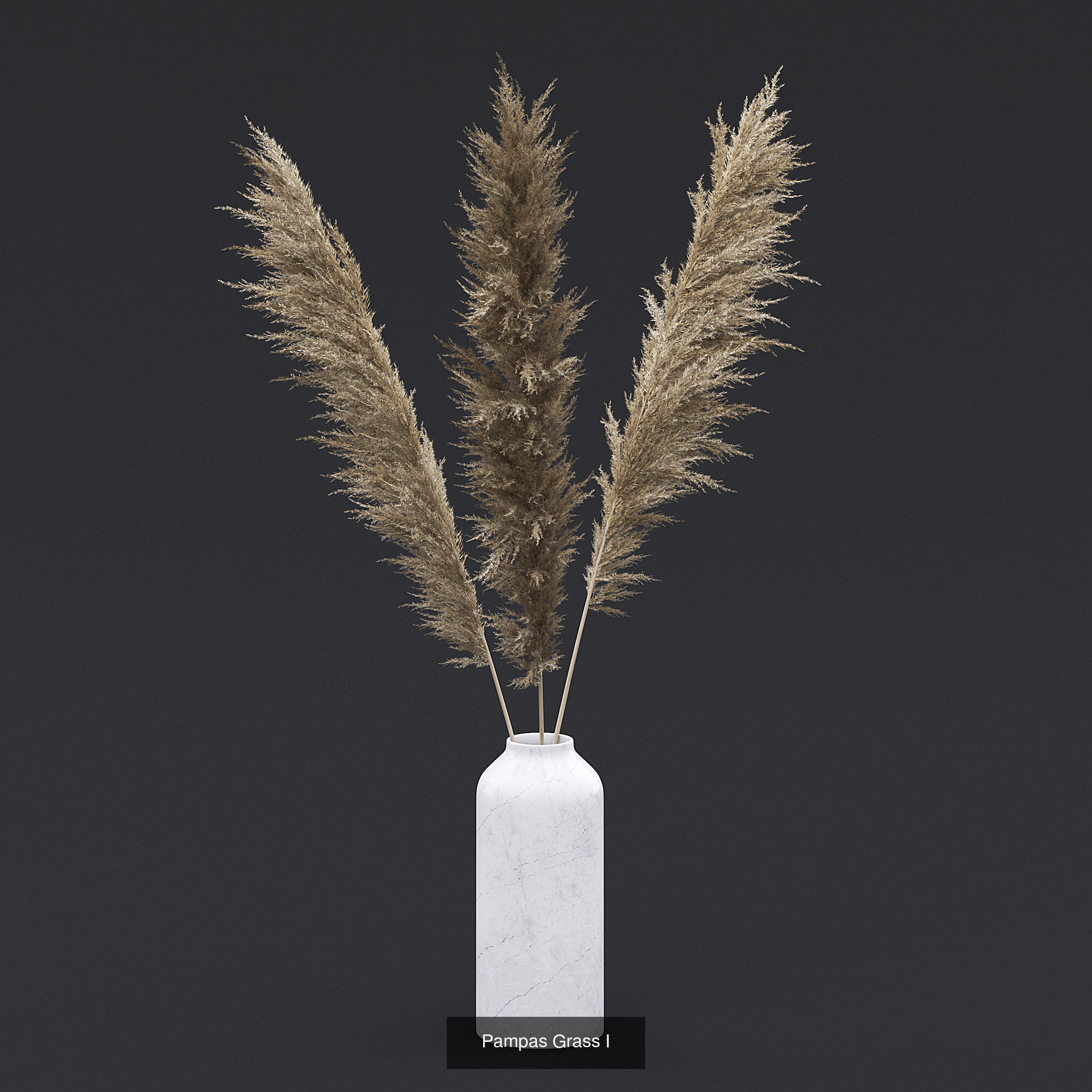 Dry Plants and Flowers Pack 3D Model Collection_5