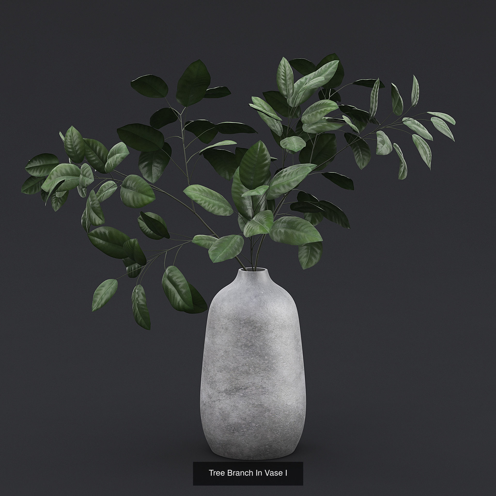 Dry Plants and Flowers Pack 3D Model Collection_7