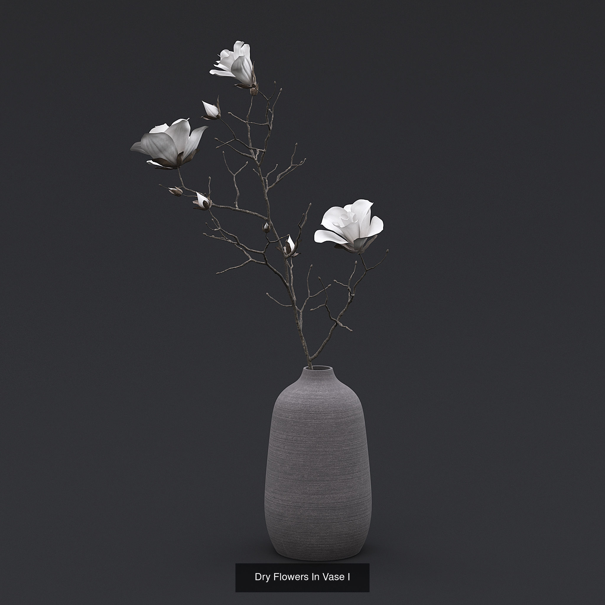 Dry Plants and Flowers Pack 3D Model Collection_3