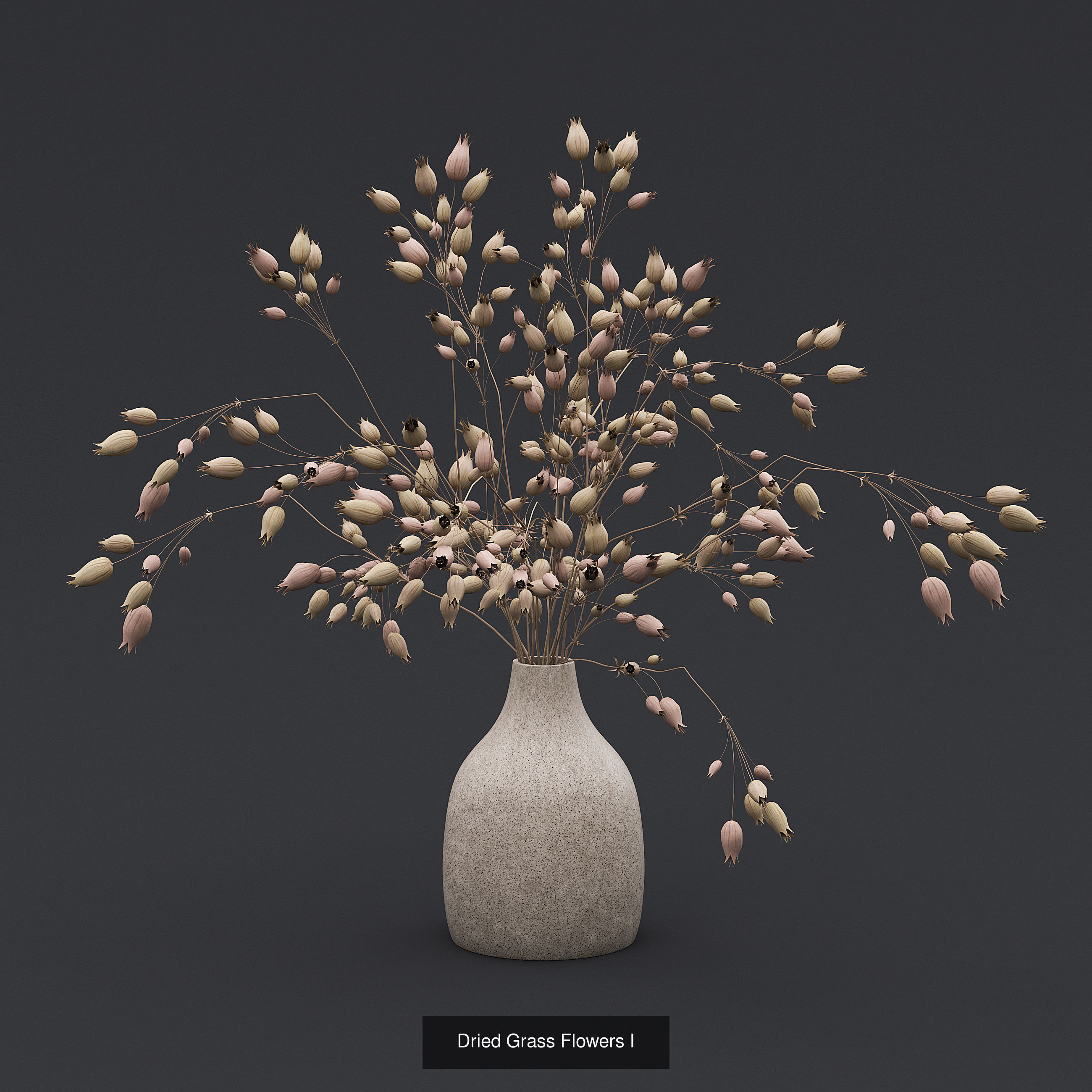 Dry Plants and Flowers Pack 3D Model Collection_1