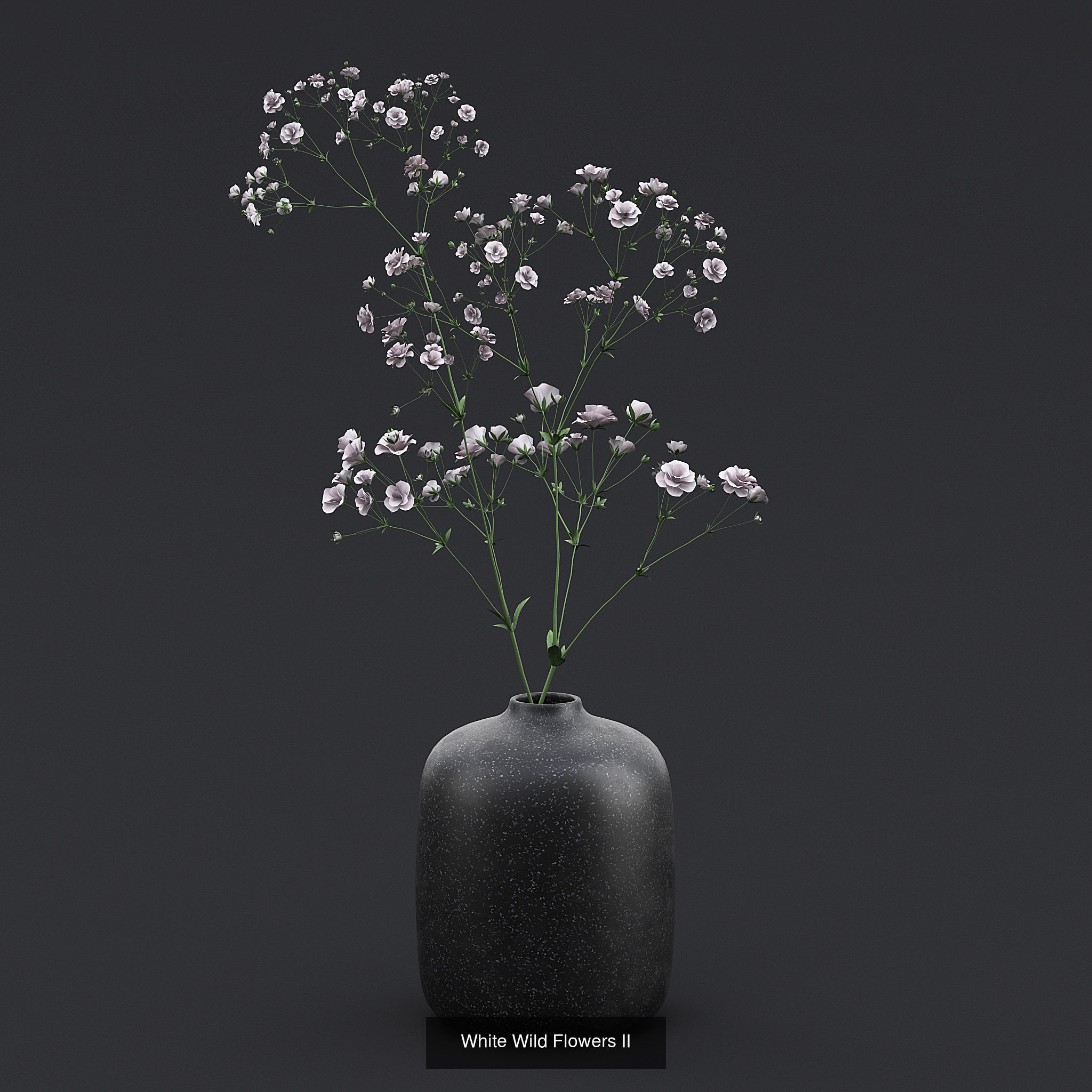 Dry Plants and Flowers Pack 3D Model Collection_12