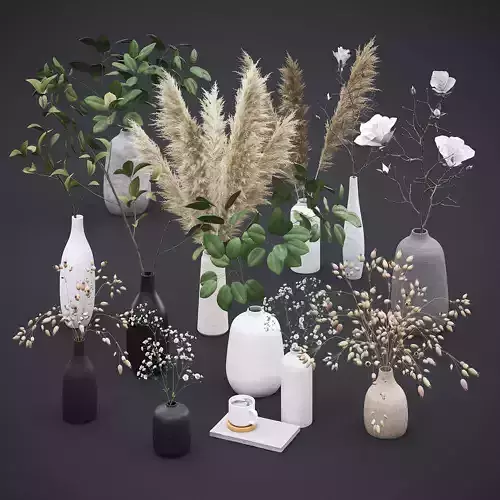 Dry Plants and Flowers Pack 3D Model Collection