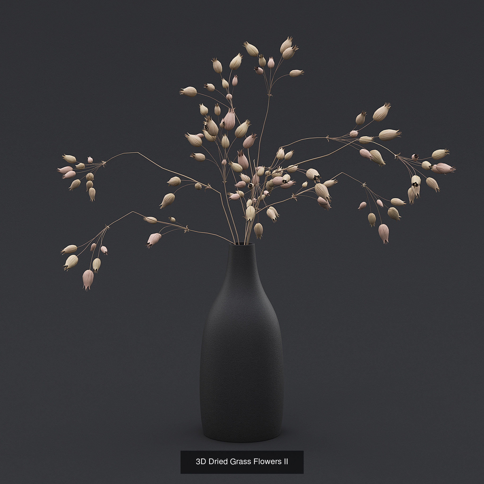 Dry Plants and Flowers Pack 3D Model Collection_2