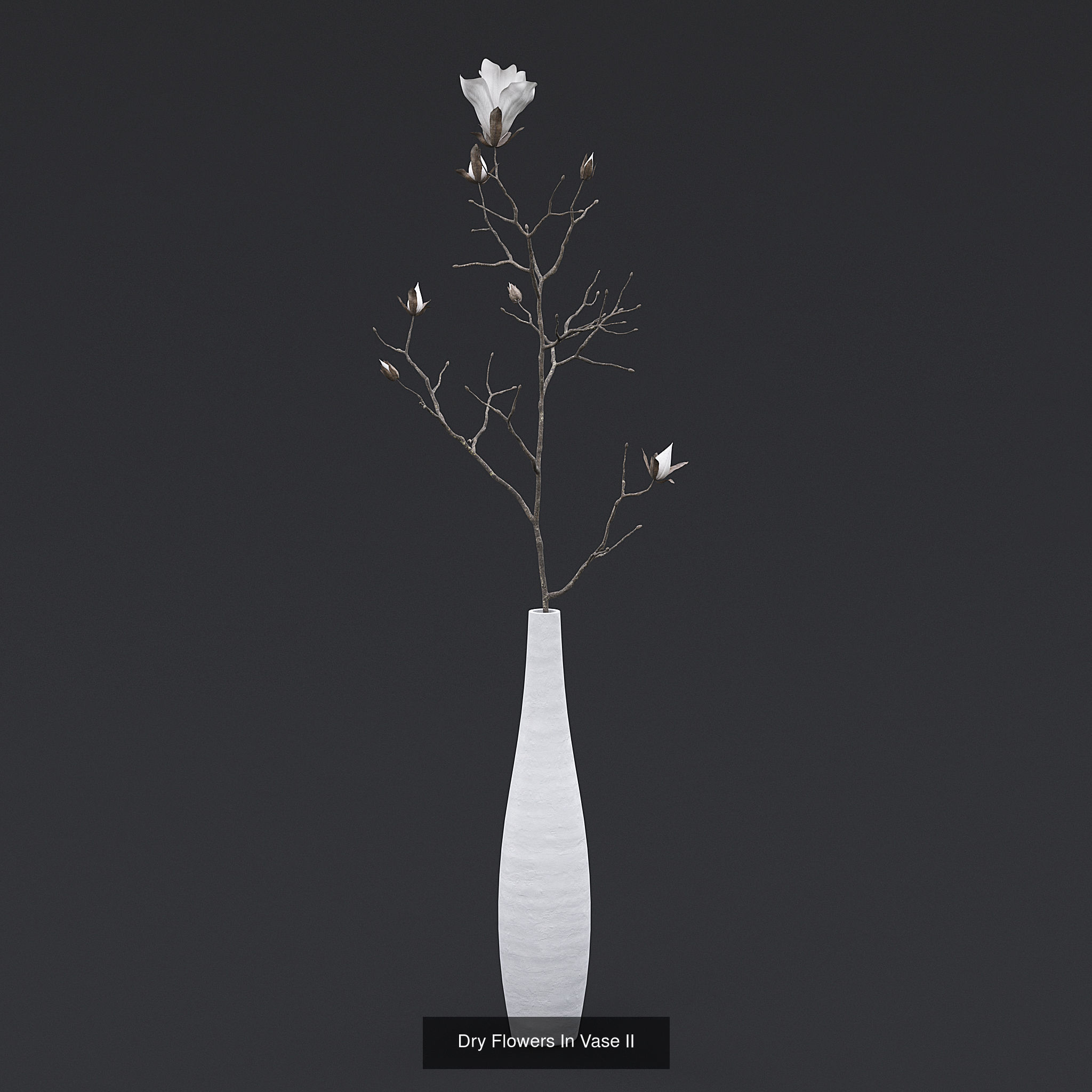 Dry Plants and Flowers Pack 3D Model Collection_4