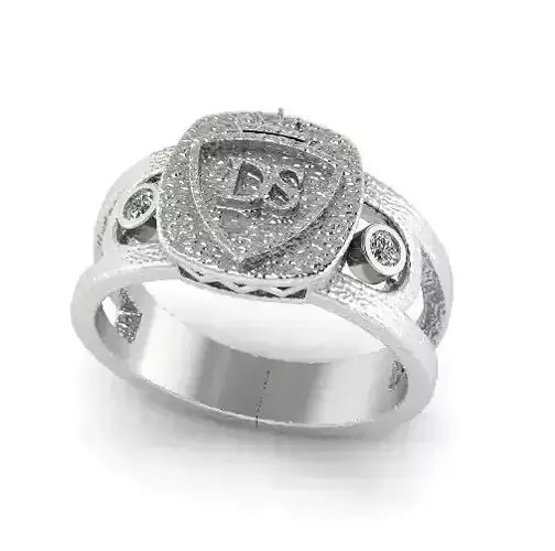 Ring DS Model 4460 3D print model