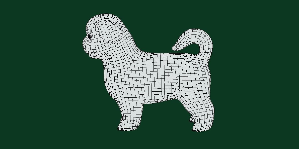 Shih Tzu Dog Breed 3D model_22