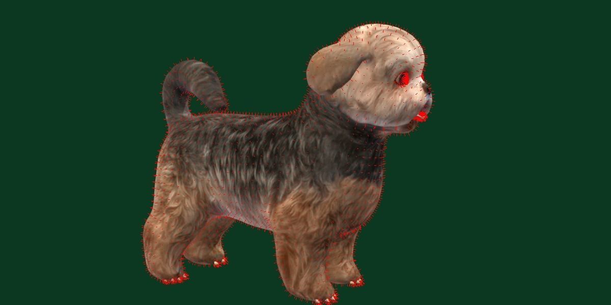 Shih Tzu Dog Breed 3D model_8