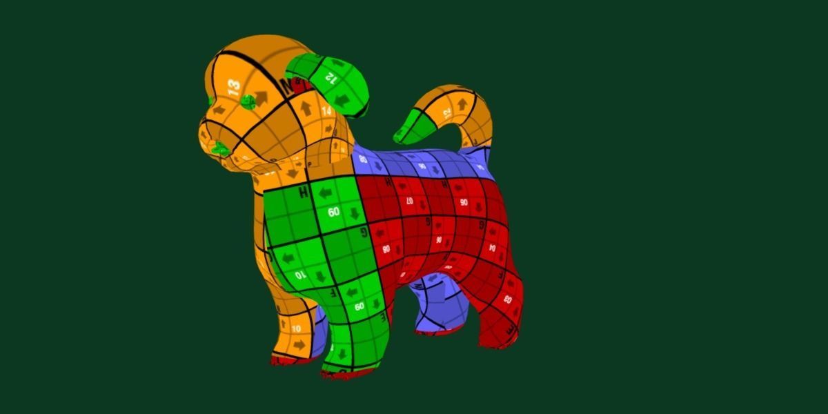 Shih Tzu Dog Breed 3D model_10