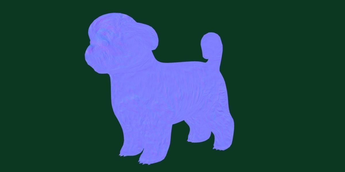 Shih Tzu Dog Breed 3D model_17