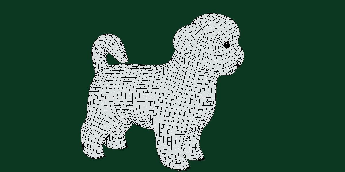 Shih Tzu Dog Breed 3D model_7