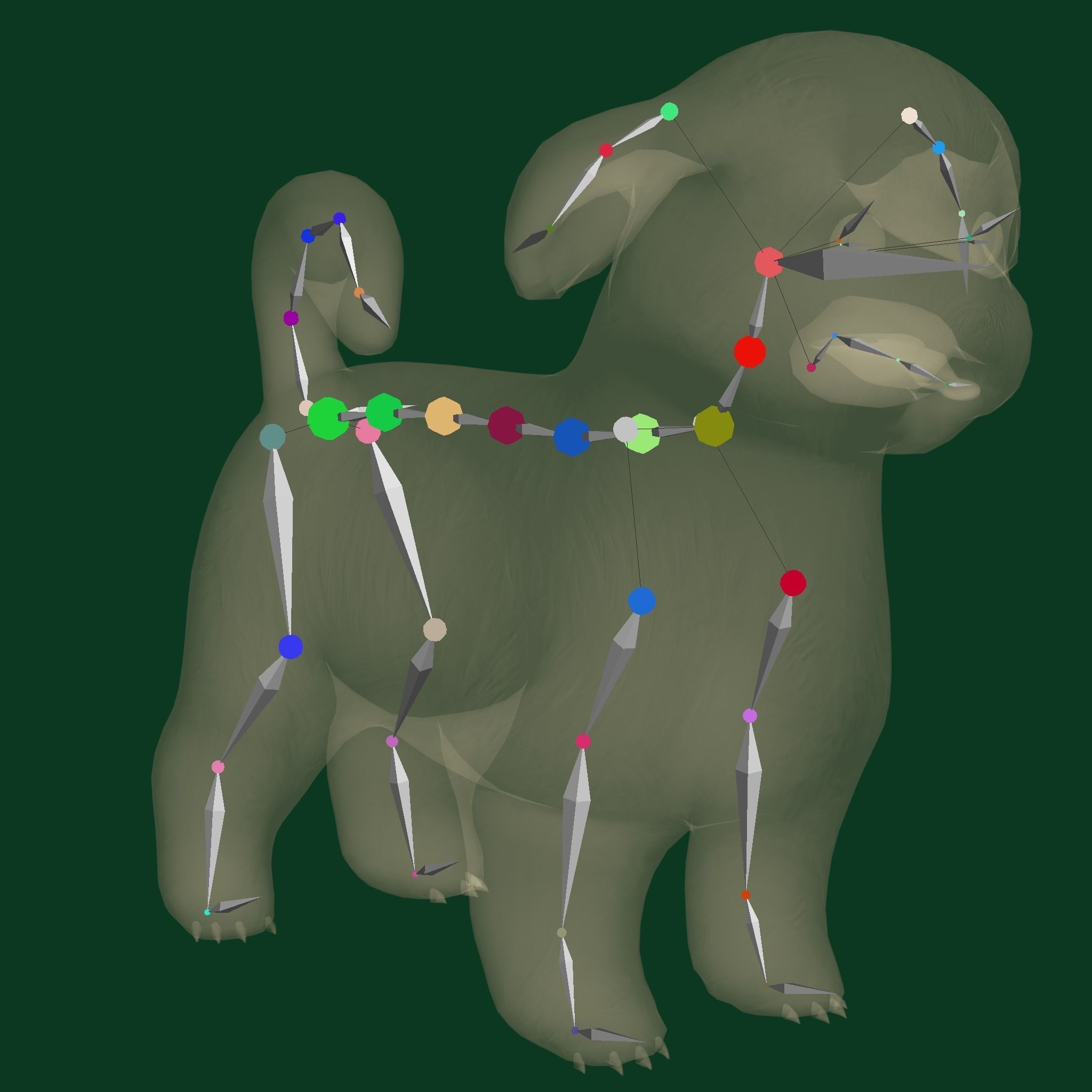 Shih Tzu Dog Breed 3D model_13