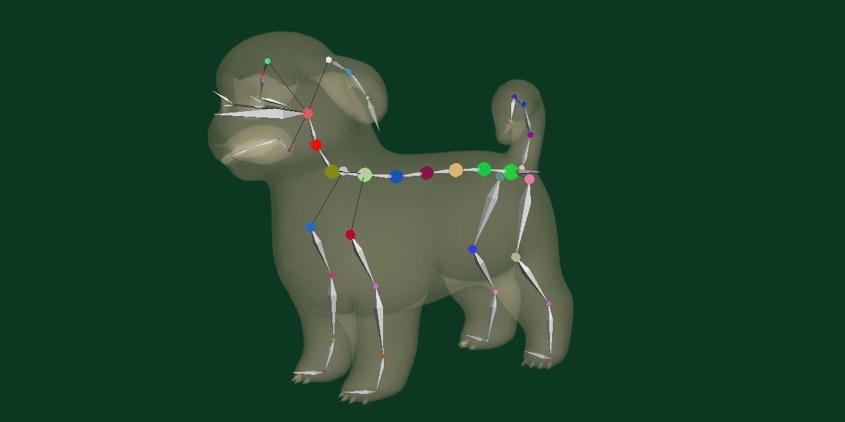 Shih Tzu Dog Breed 3D model_15