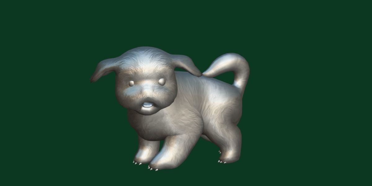 Shih Tzu Dog Breed 3D model_21