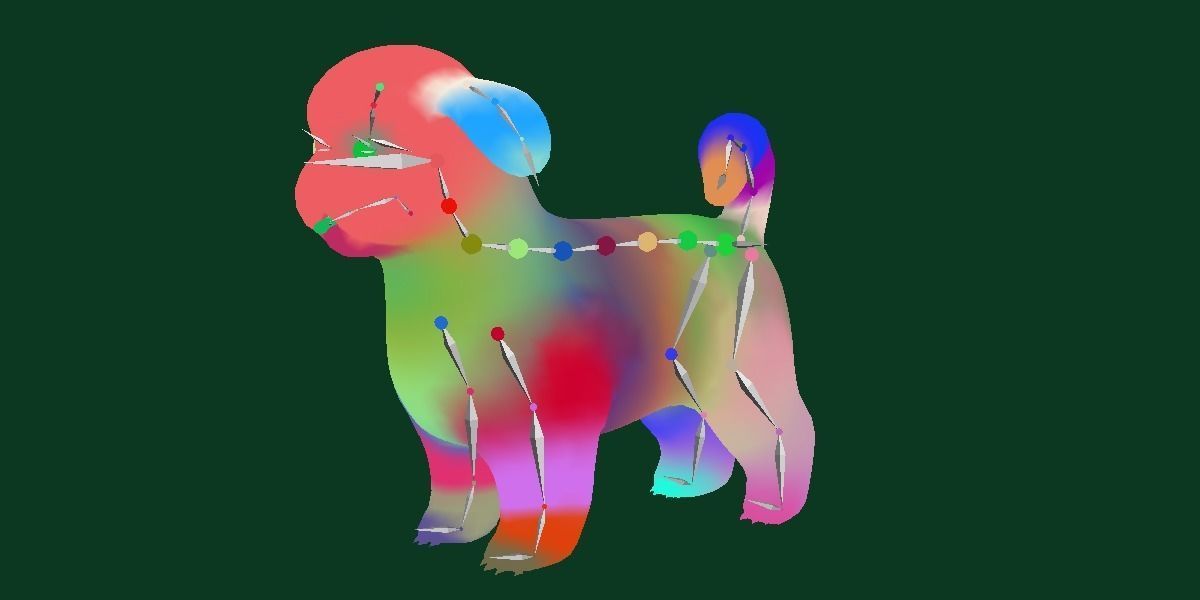 Shih Tzu Dog Breed 3D model_16