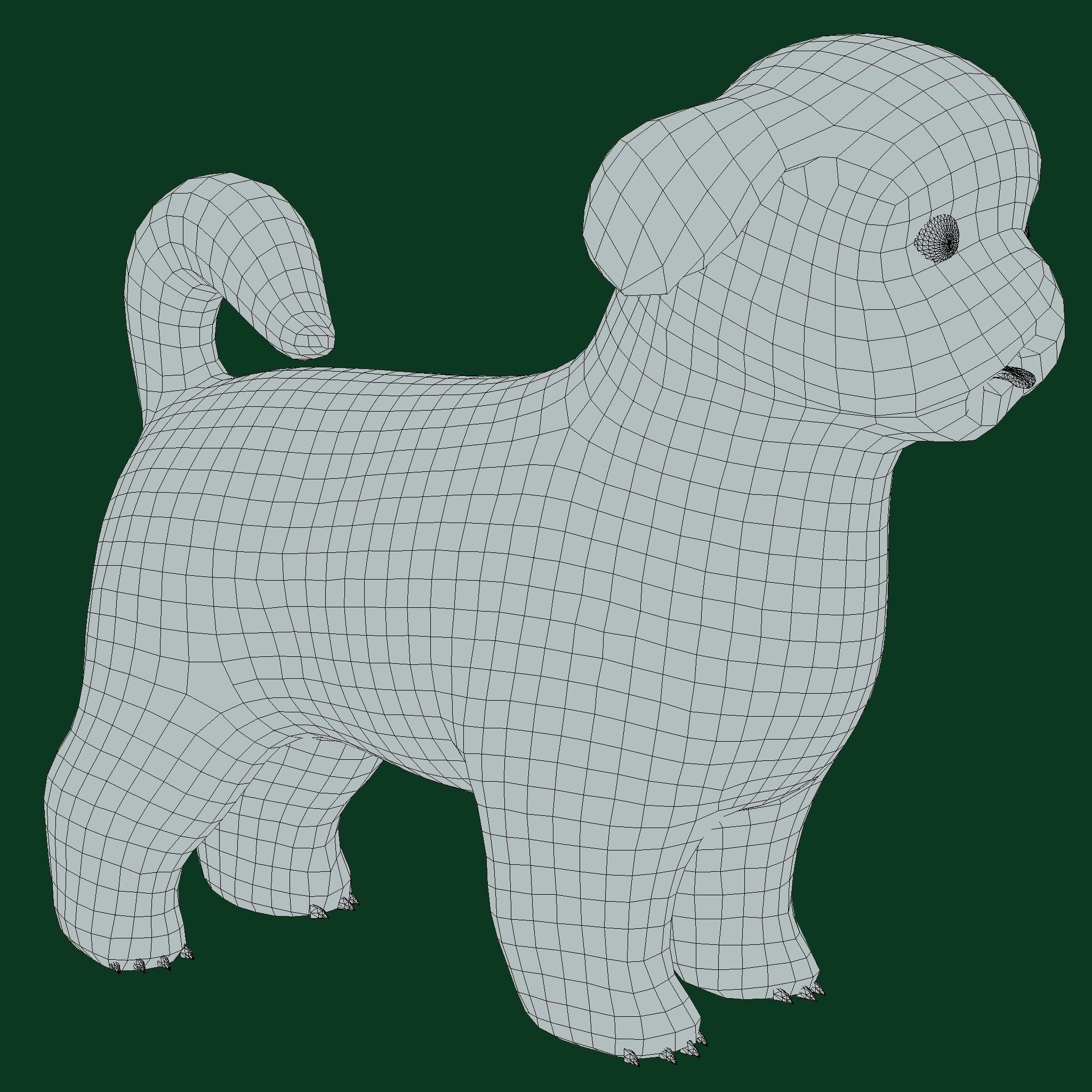 Shih Tzu Dog Breed 3D model_14