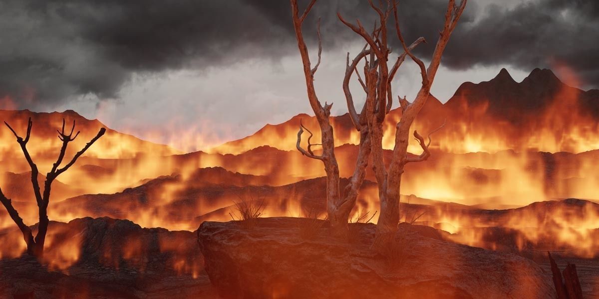 VDB Area Fire 200 Frames - Loopable 3D model_3