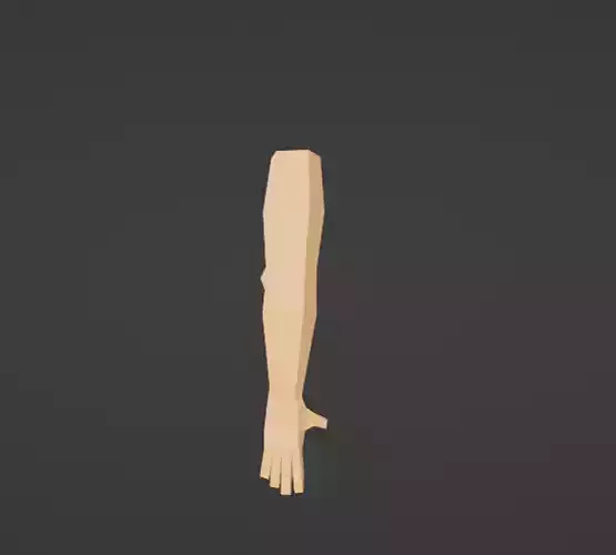 3D model of an arm  3D model