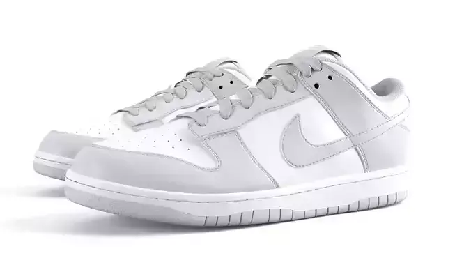 Nike  Dunk Low Gray PBR