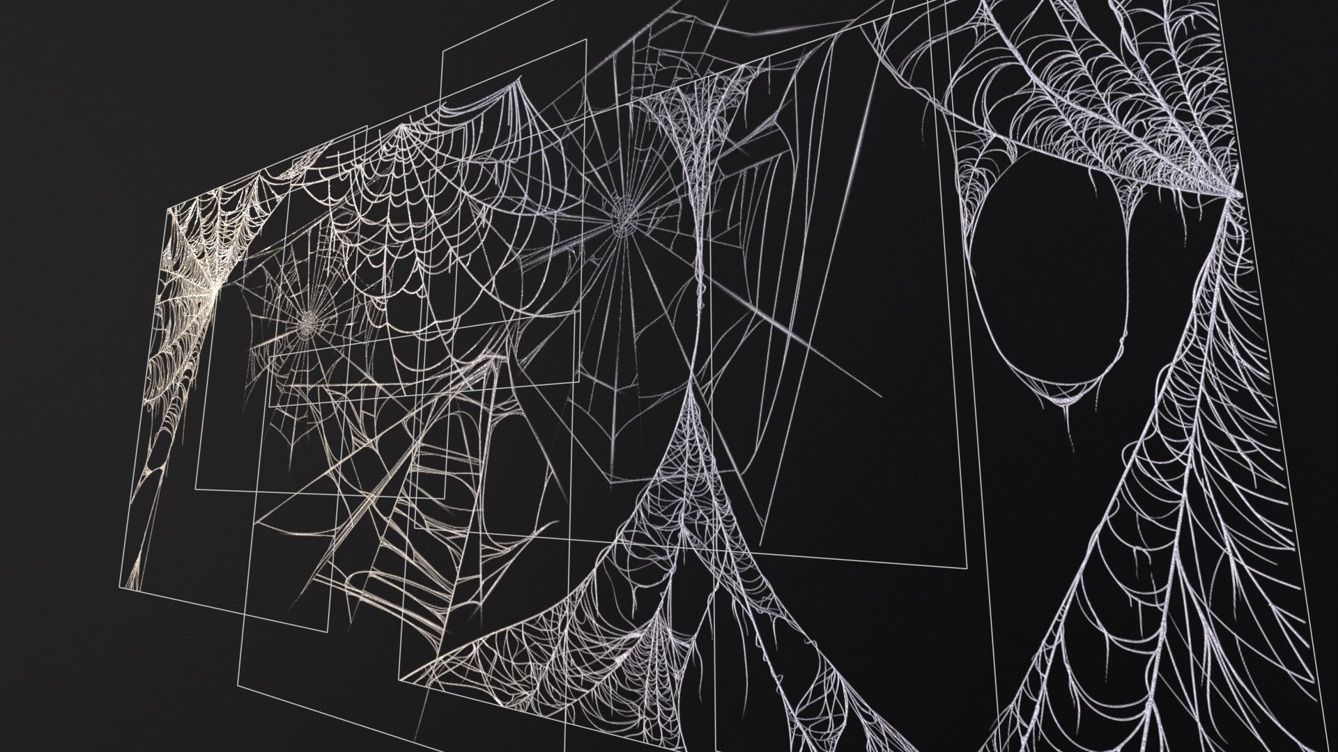 Spider Webs Set Two Low-poly 3D model_21