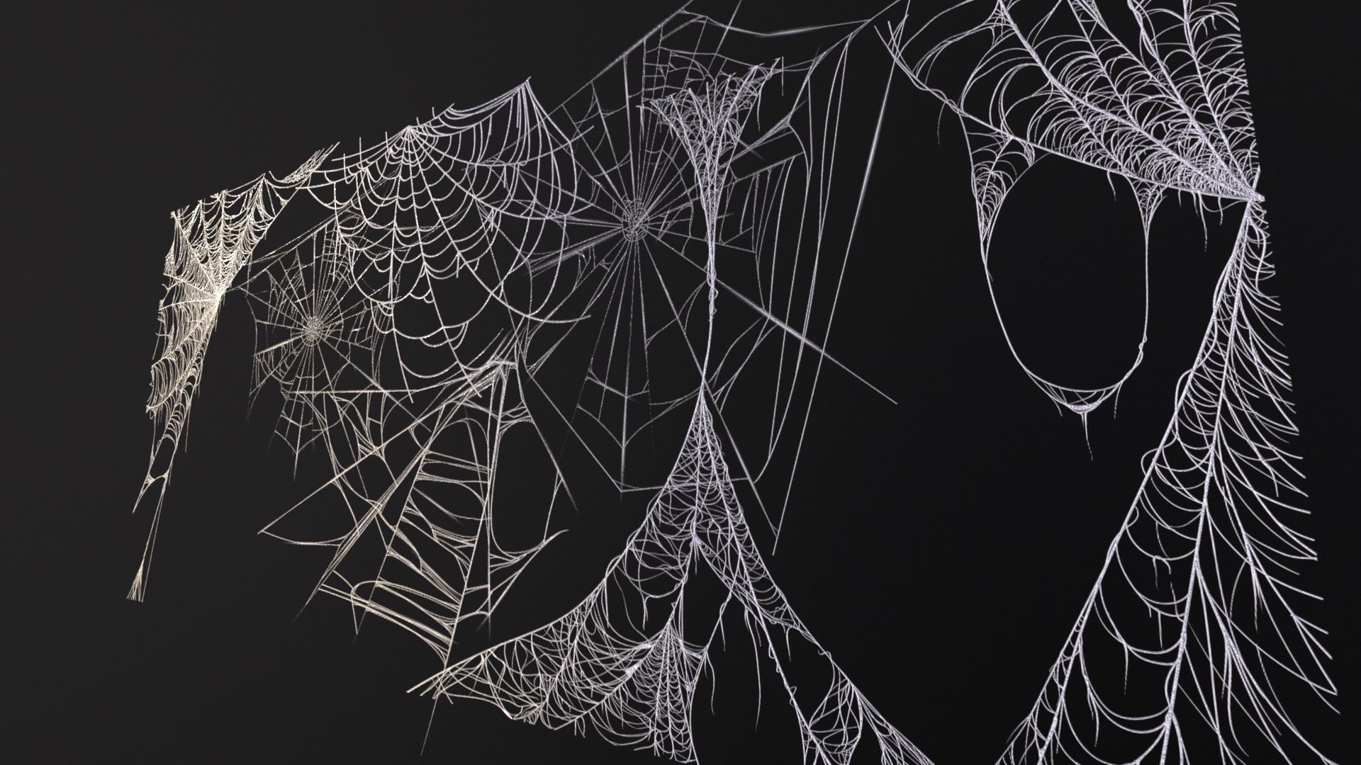 Spider Webs Set Two Low-poly 3D model_20