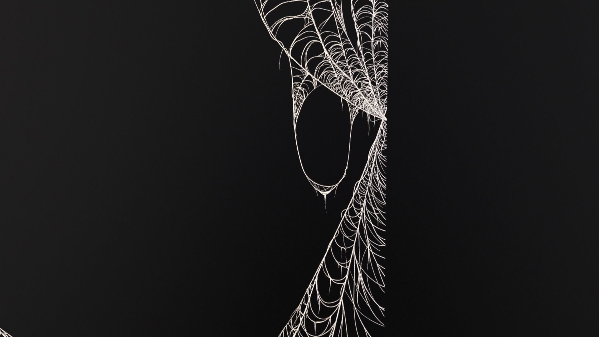 Spider Webs Set Two Low-poly 3D model_14