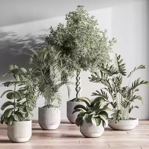  IndoorSetPlant050