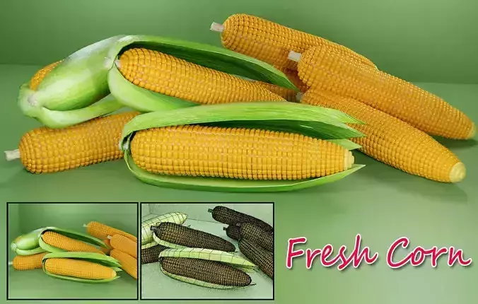 Photorealistic  Fresh corn  Low-poly 3D model
