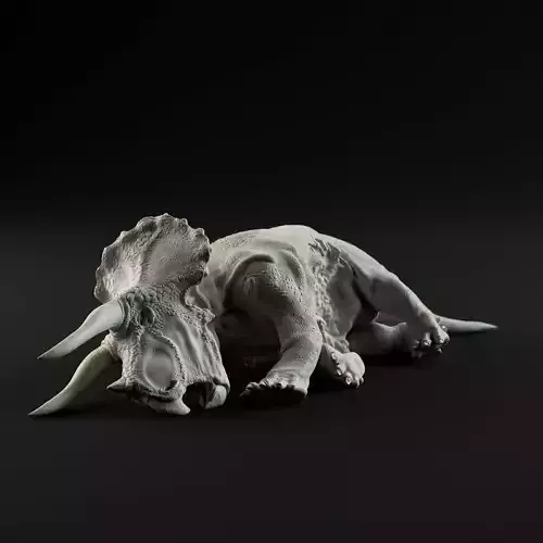 Triceratops dead 1-35 scale pre-supported