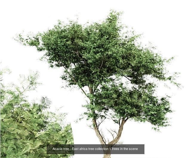  6 Different SETS of Tree SET VOL102 3D Model Collection_2