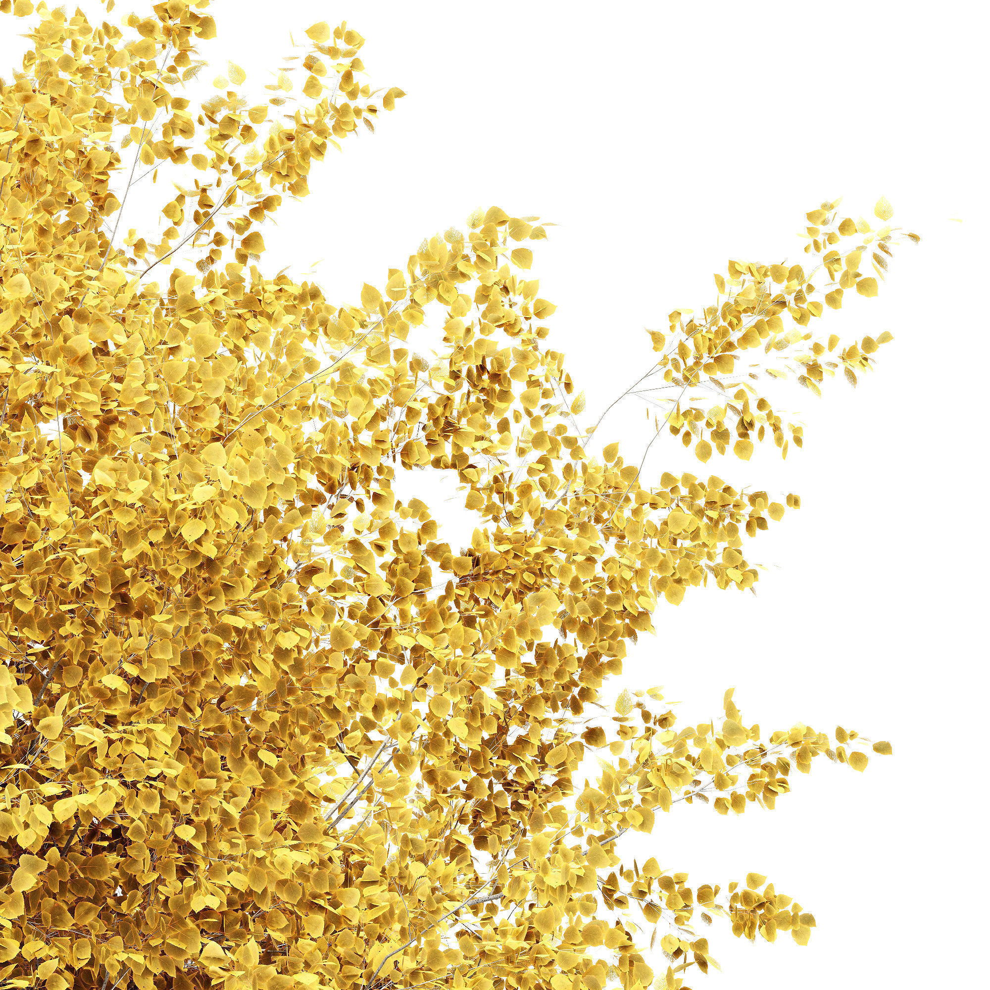  6 Different SETS of Tree SET VOL102 3D Model Collection_17