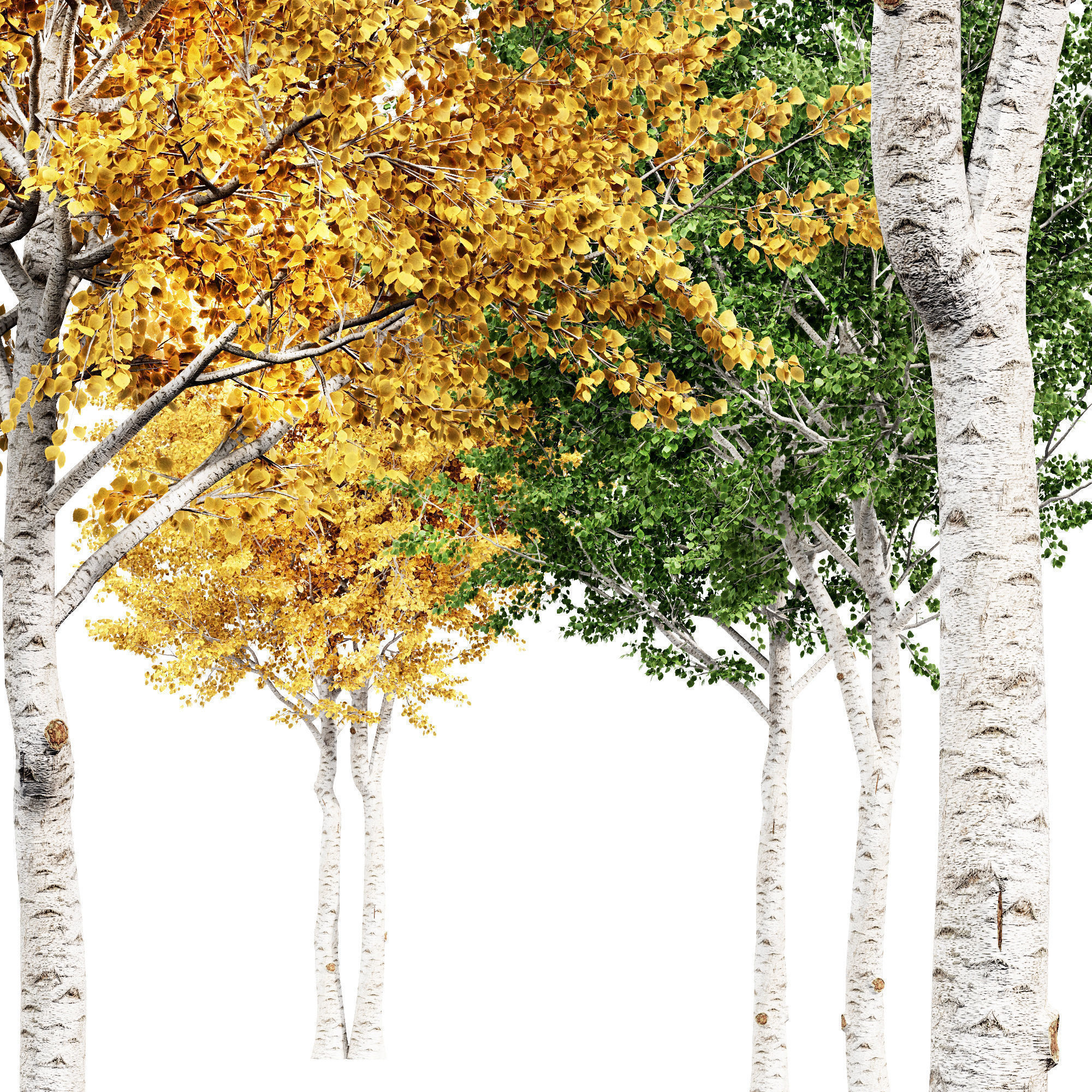  6 Different SETS of Tree SET VOL102 3D Model Collection_18