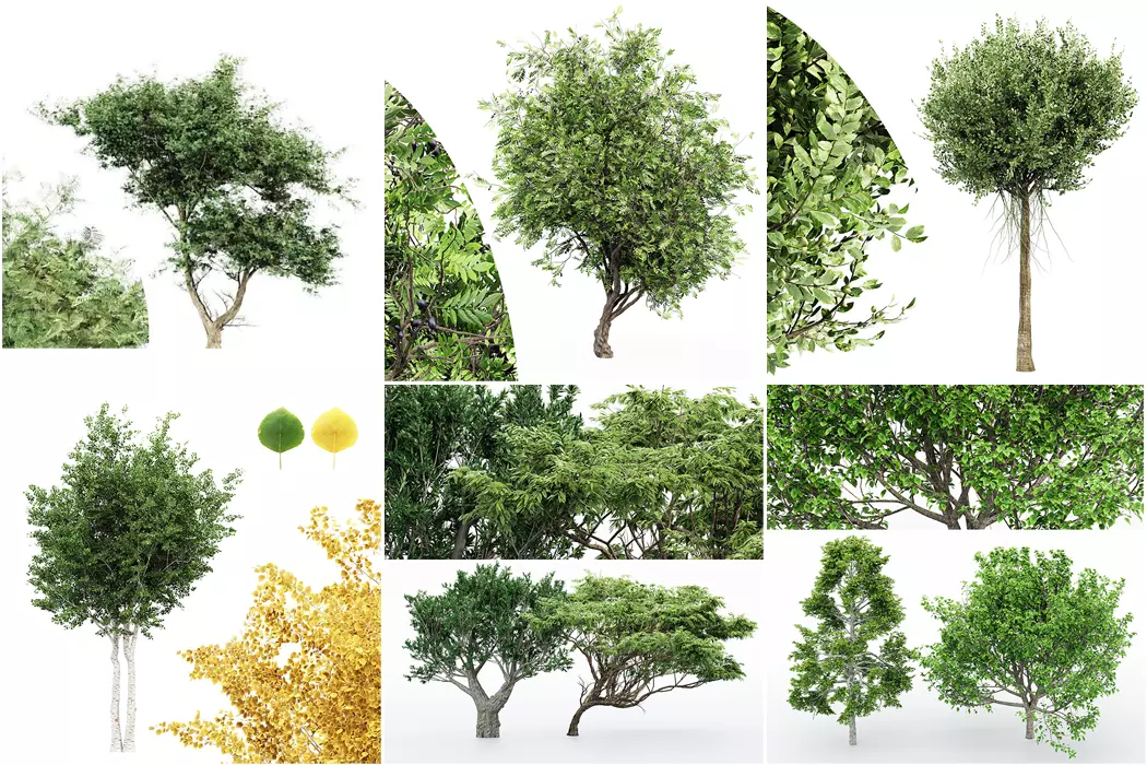 6 Different SETS of Tree SET VOL102 3D Model Collection_0