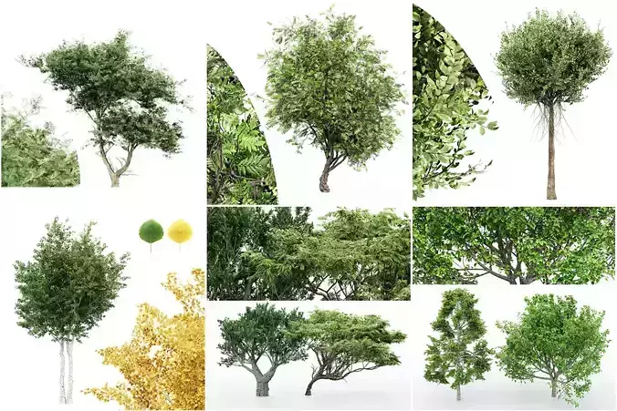 6 Different SETS of Tree SET VOL102 3D Model Collection