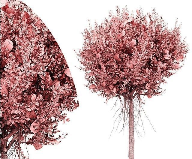  6 Different SETS of Tree SET VOL102 3D Model Collection_24