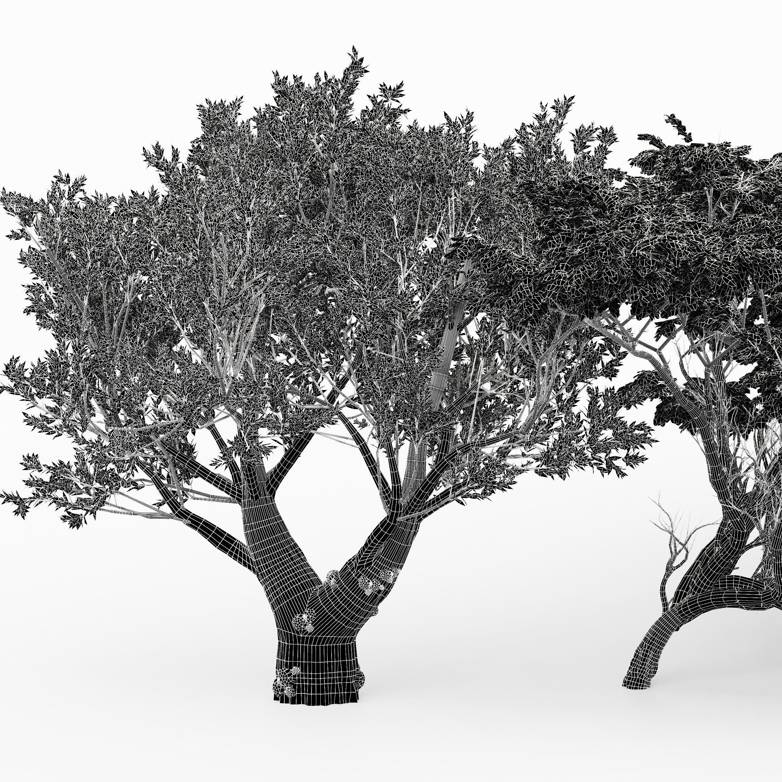  6 Different SETS of Tree SET VOL102 3D Model Collection_22