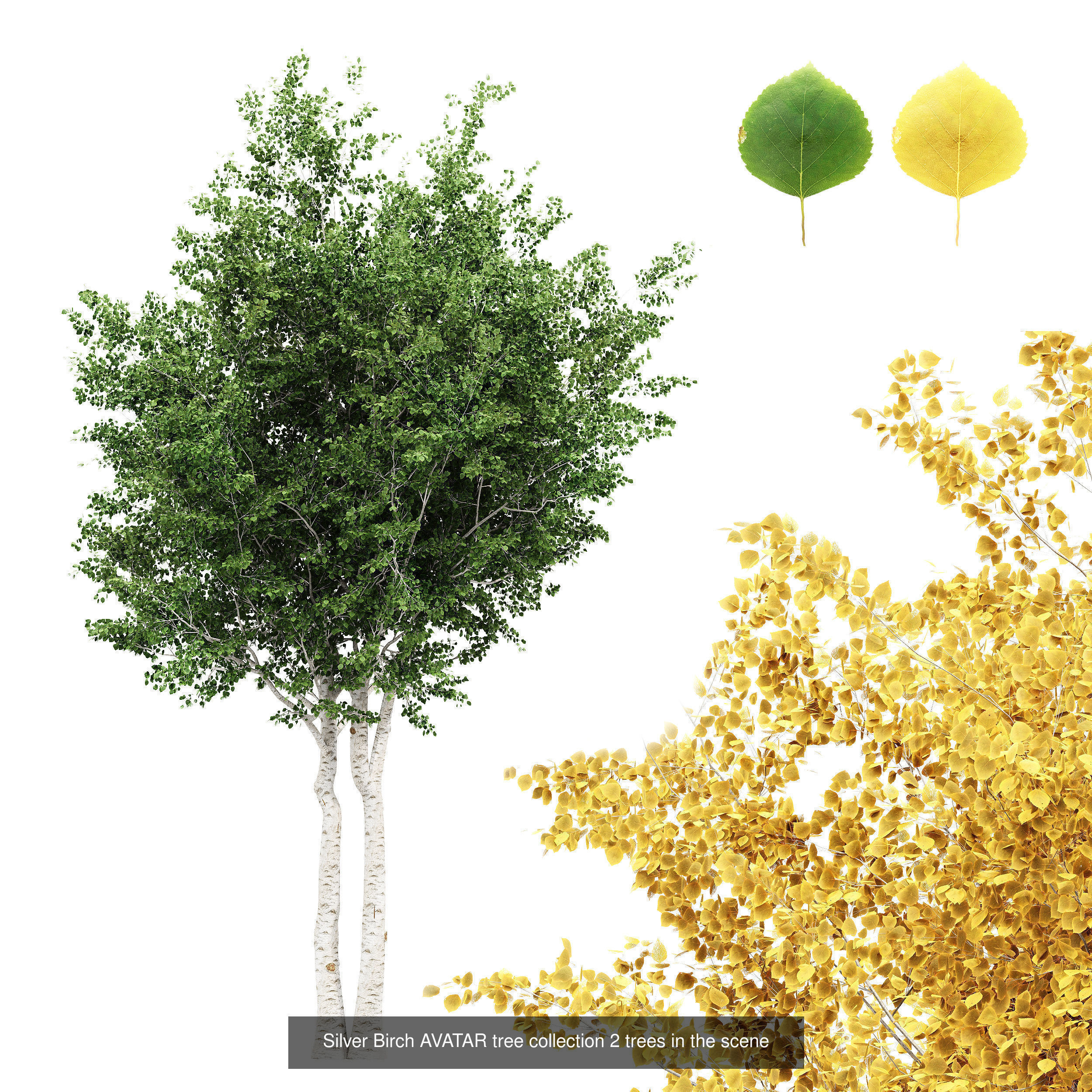  6 Different SETS of Tree SET VOL102 3D Model Collection_4