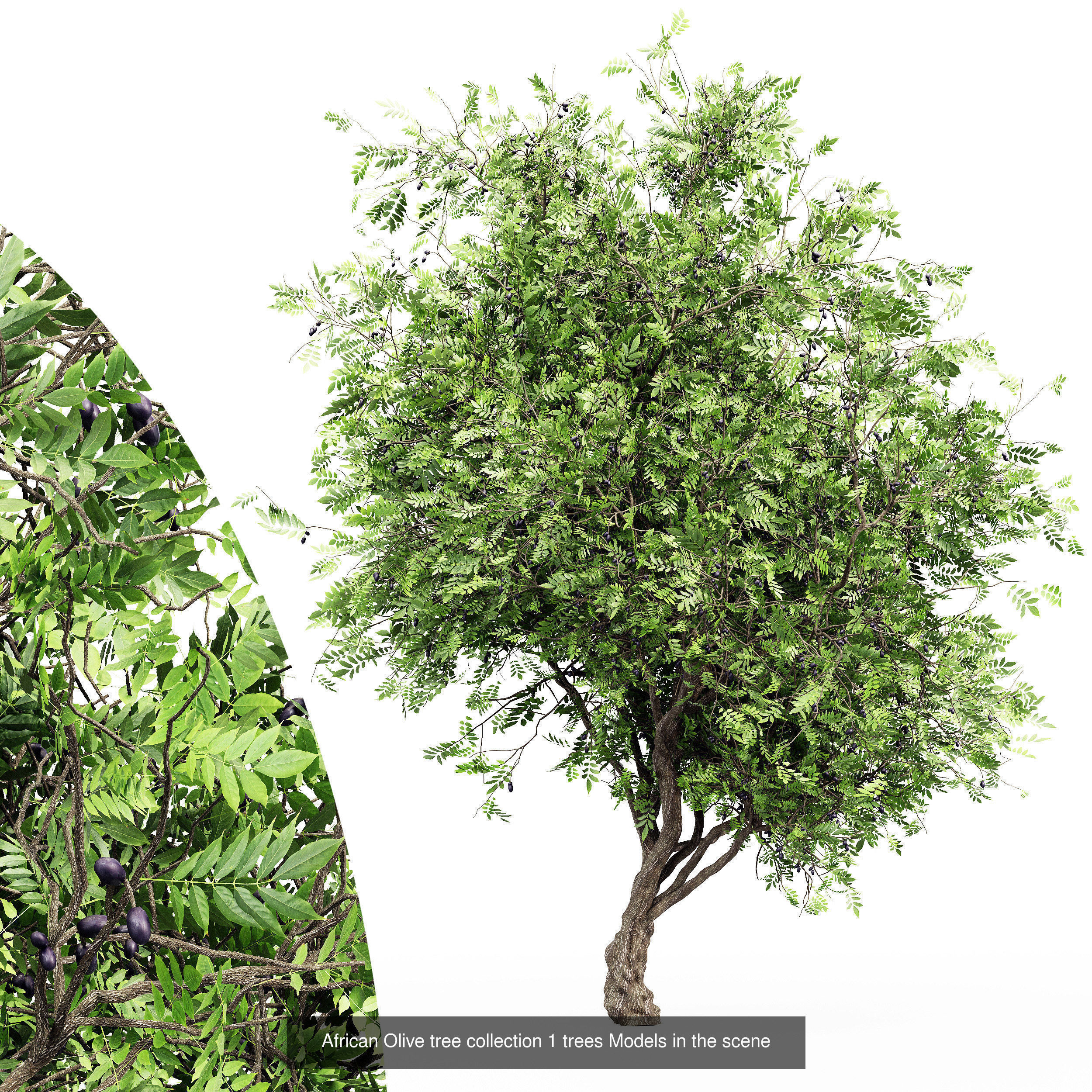  6 Different SETS of Tree SET VOL102 3D Model Collection_1