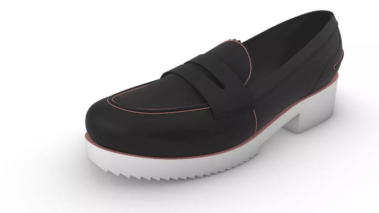 Monk shoe 3D model_0