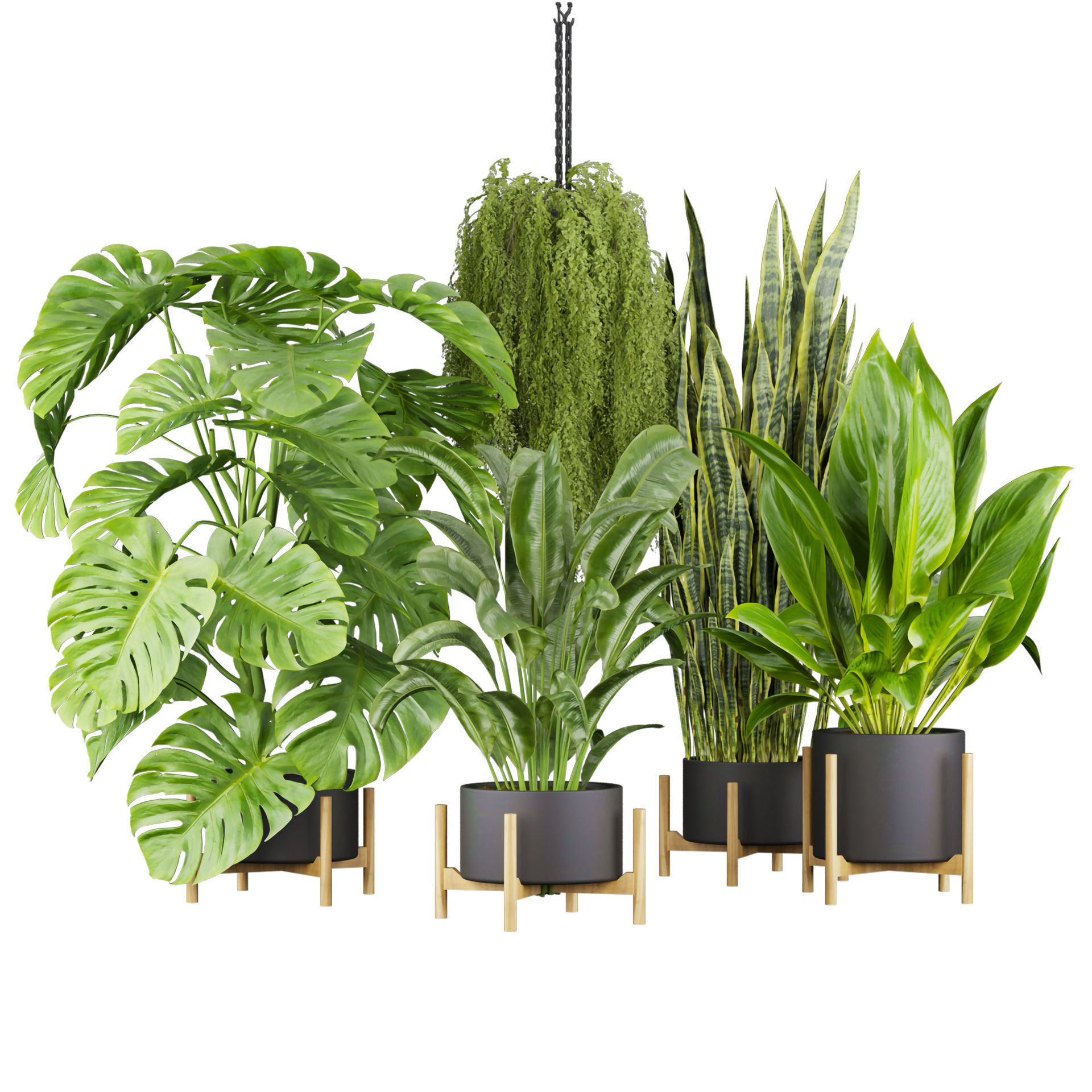 Collection plant vol 537 - banana - peace lily - palm - hanging  3D model_5