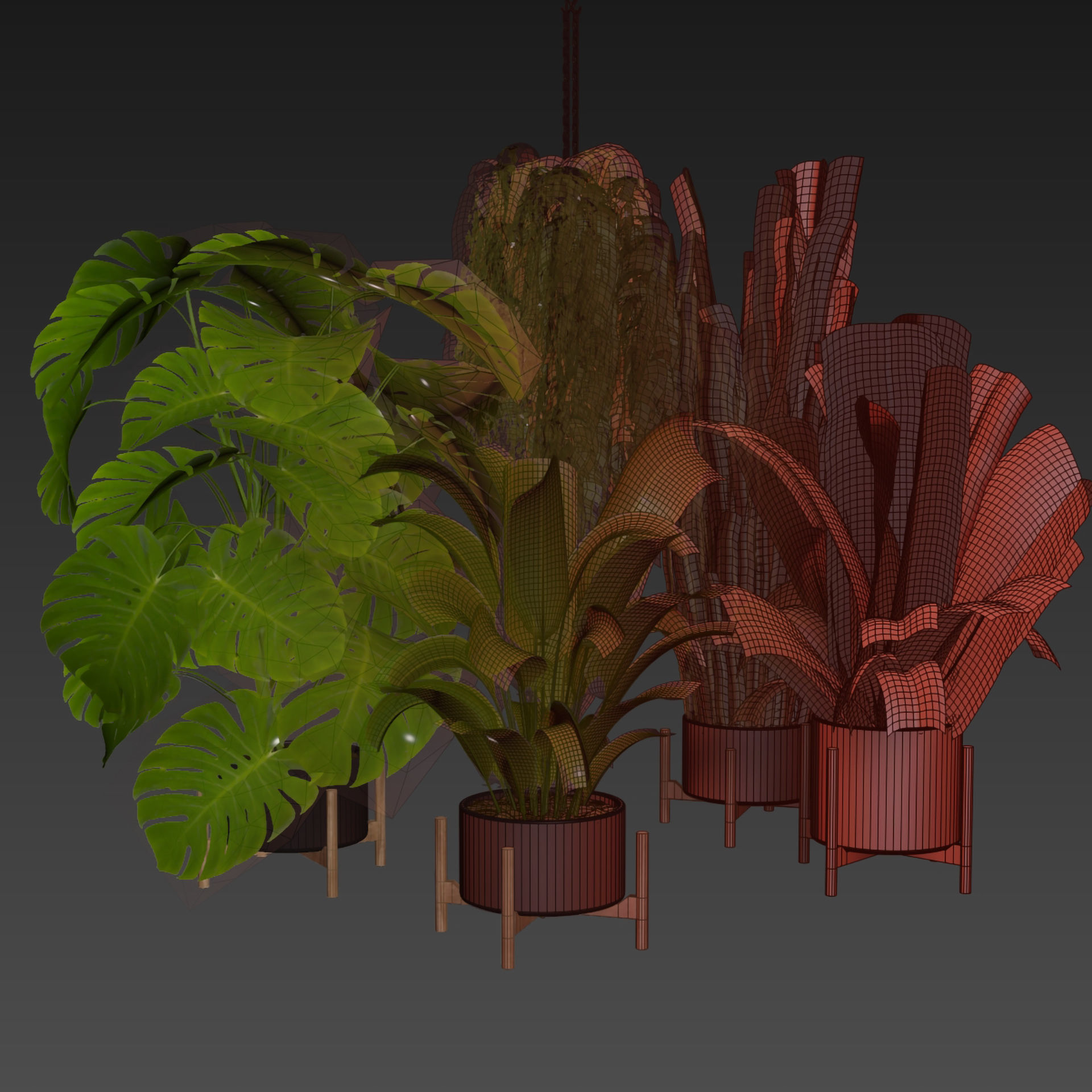 Collection plant vol 537 - banana - peace lily - palm - hanging  3D model_6