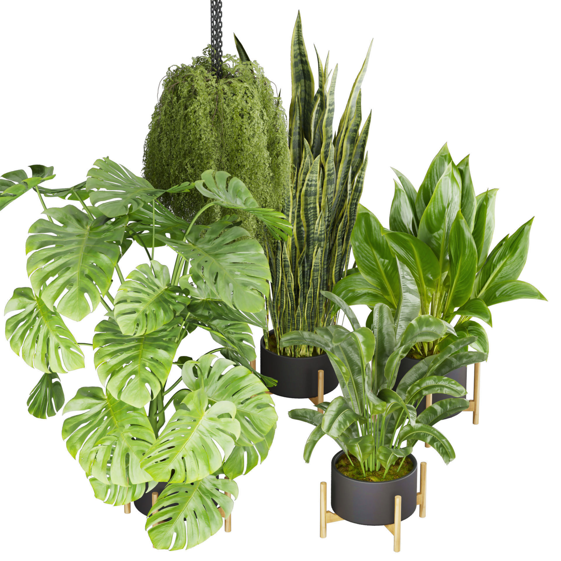 Collection plant vol 537 - banana - peace lily - palm - hanging  3D model_1